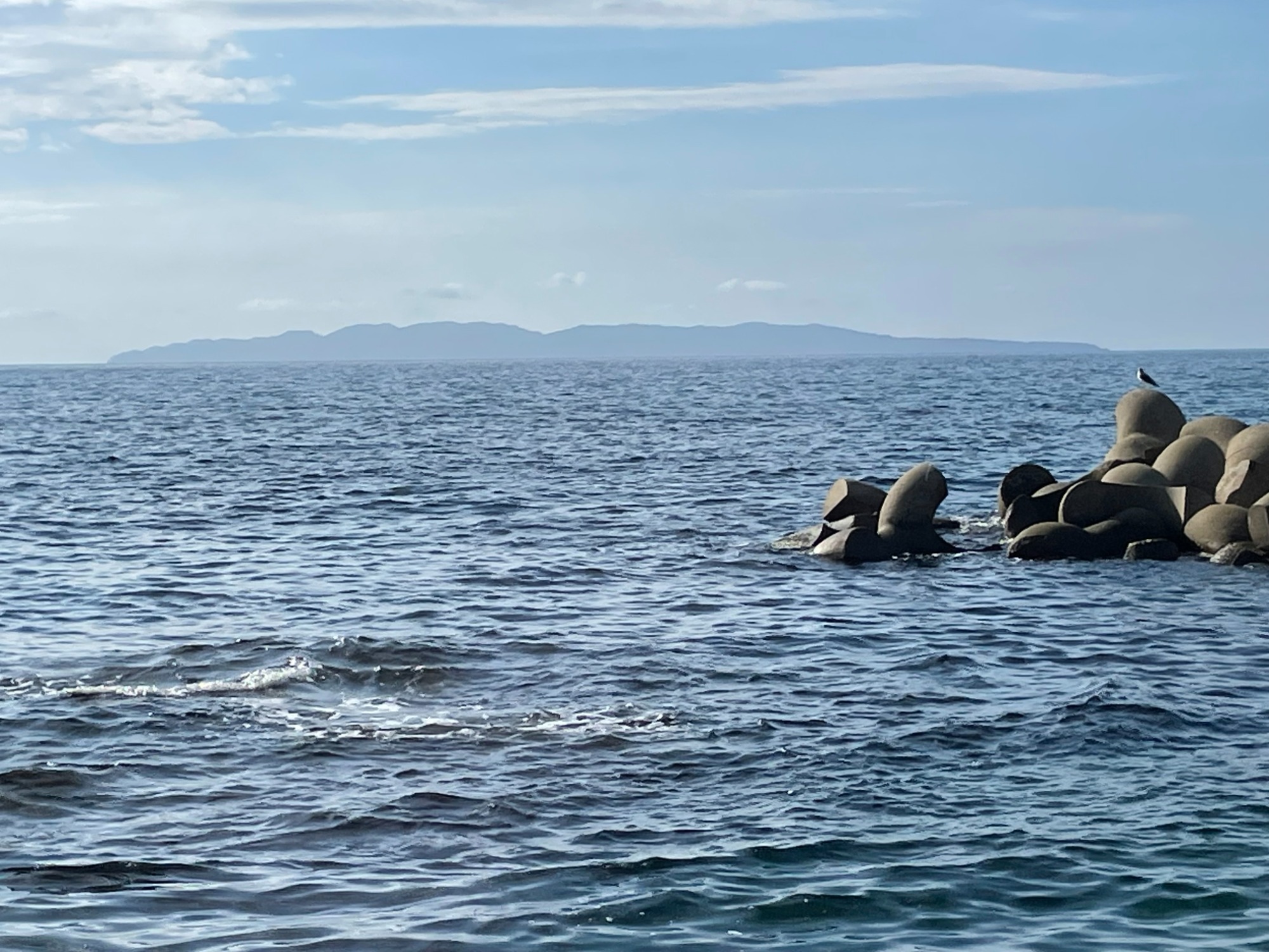 村上市役所のむらかみファンクラブ通信のページにリンクします